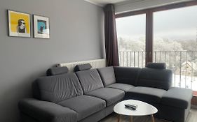 Apartament Ptasia